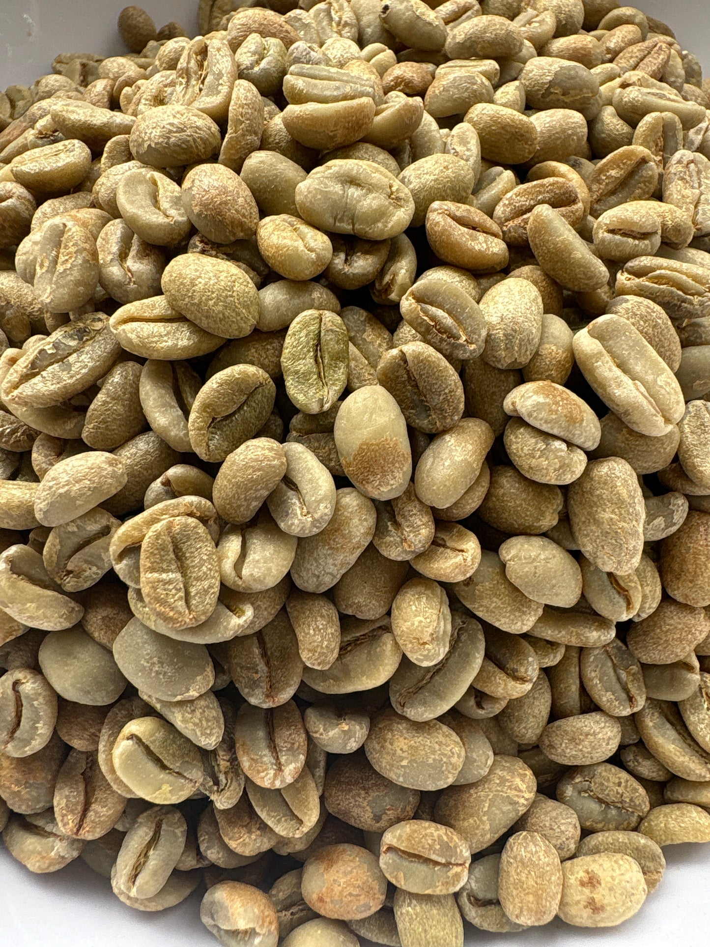 Ethiopia Organic Dry Process Birbirsa
