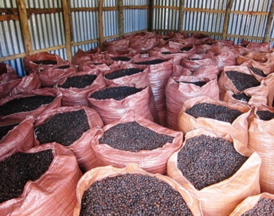 Ethiopia Sidamo - Decaf SWP