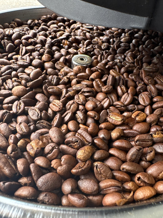 Ethiopia Organic Dry Process Birbirsa