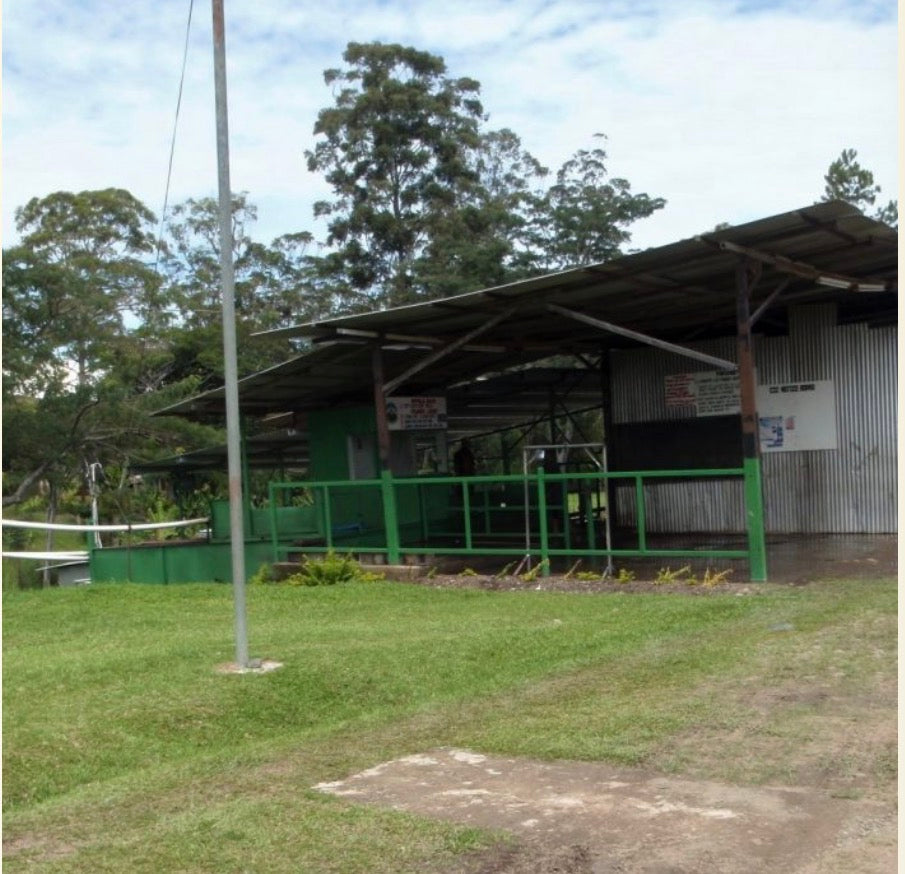 Papúa New Guinea Siane Chimbu