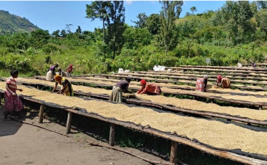 Congo Kalehe – Idjwi Island