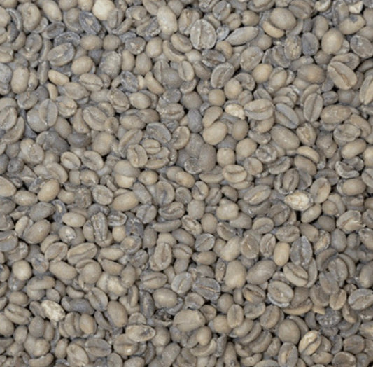Ethiopia Sidamo - Decaf SWP