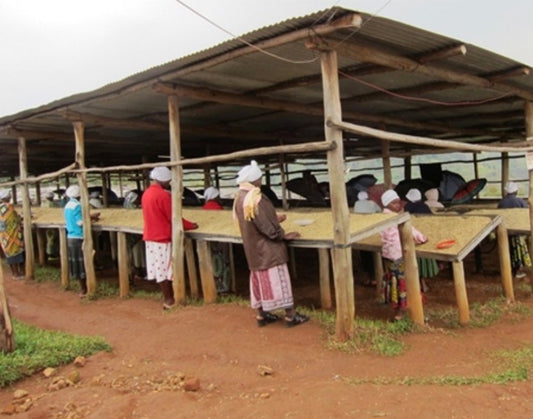 Rwanda Fair Trade Organic