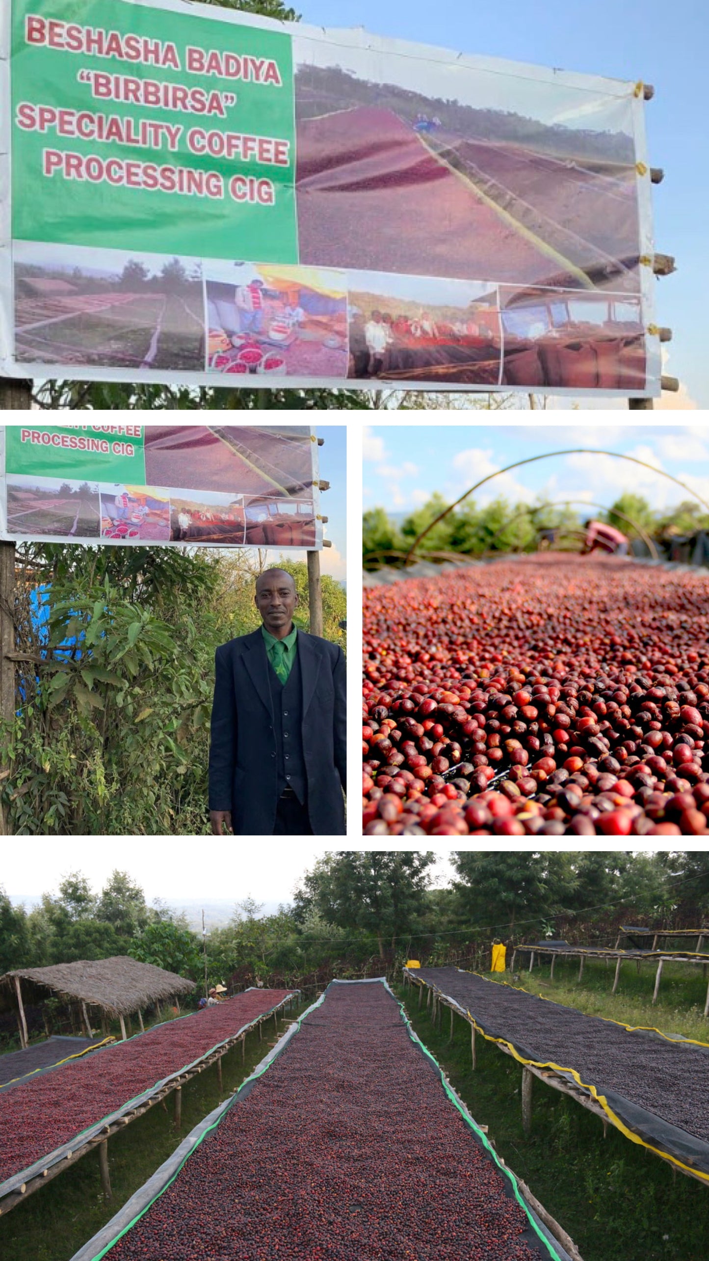PREORDER - Ethiopia Organic Dry Process Birbirsa