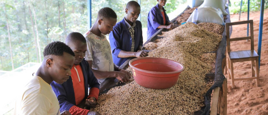 Rwanda Rusizi Gaseke