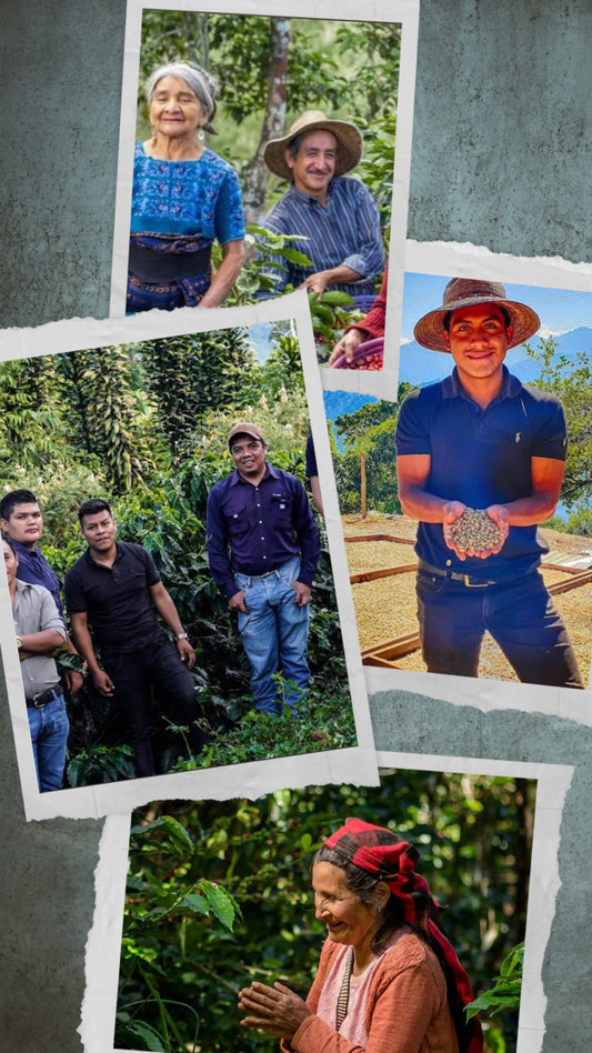 Guatemala Huehuetenango Organic