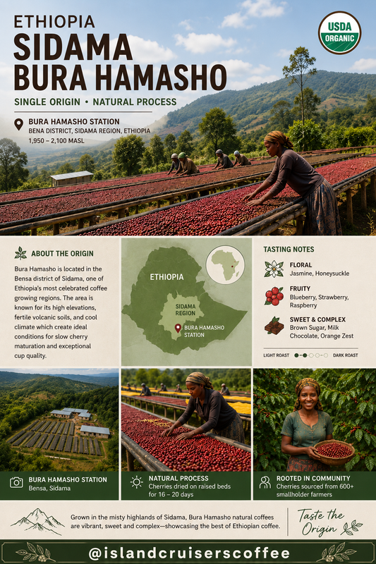 Ethiopia Sidama Bura Hamasho Grade 1 Organic